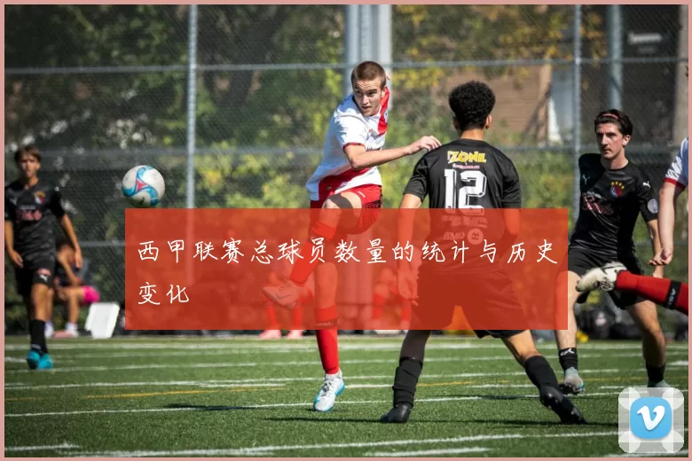 西甲联赛总球员数量的统计与历史变化