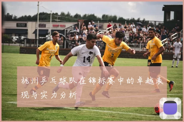 杭州乒乓球队在锦标赛中的卓越表现与实力分析