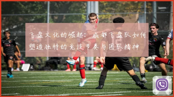 飞盘文化的崛起：成都飞盘队如何塑造独特的竞技节奏与团队精神