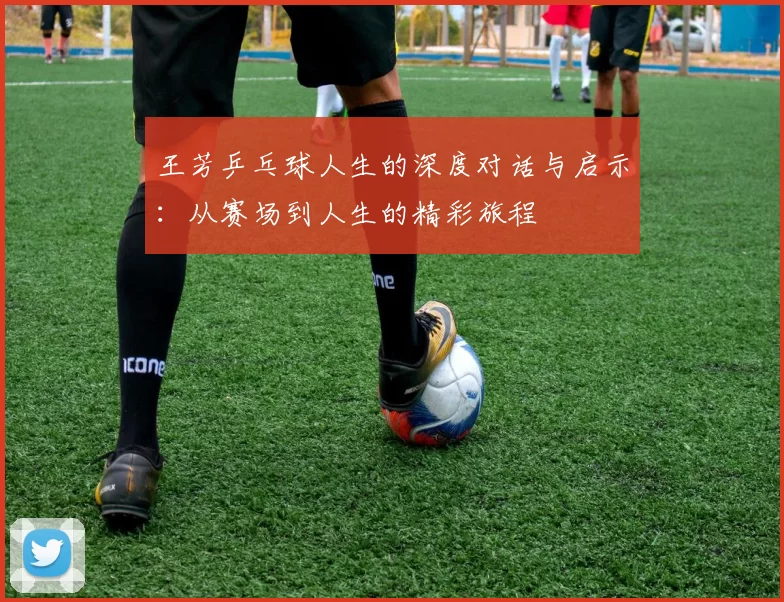 王芳乒乓球人生的深度对话与启示：从赛场到人生的精彩旅程