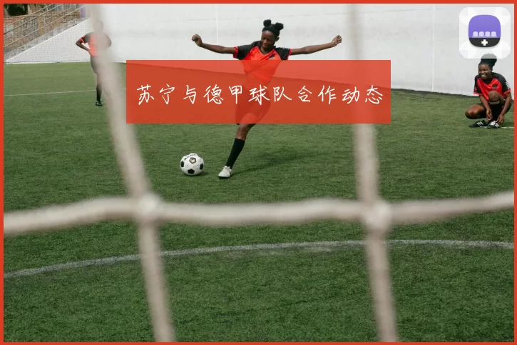 苏宁与德甲球队合作动态