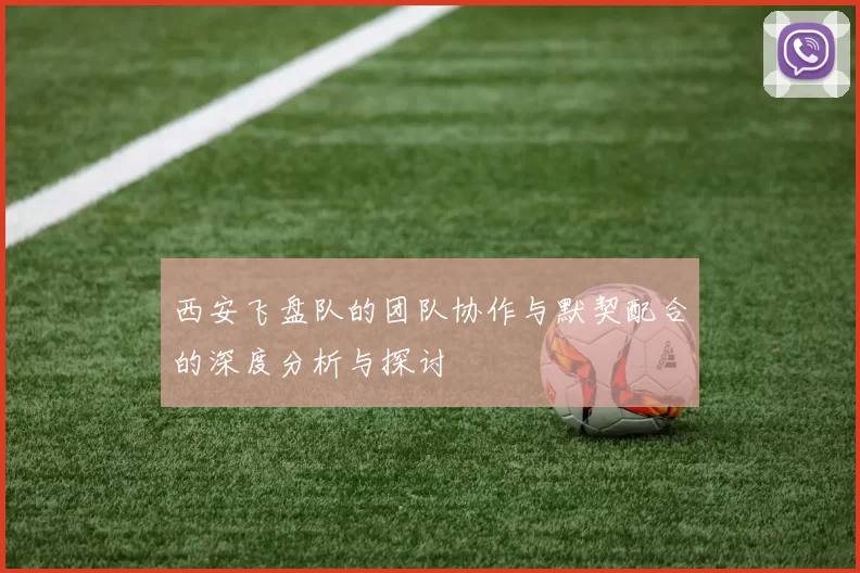 西安飞盘队的团队协作与默契配合的深度分析与探讨
