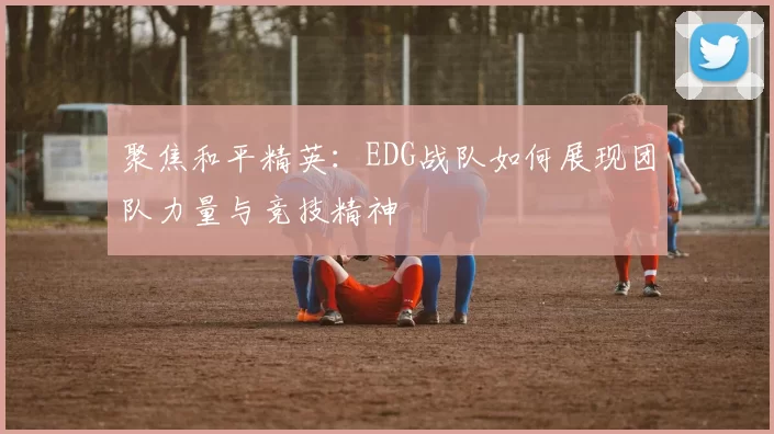 聚焦和平精英：EDG战队如何展现团队力量与竞技精神